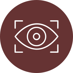 vision icon