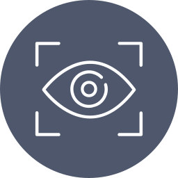 Vision icon