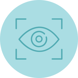 vision icon