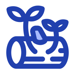 Grow plant icon