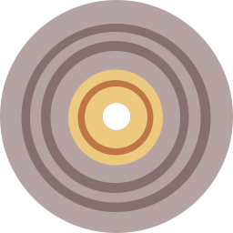 vinyl icon