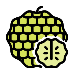 Custard apple icon