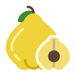 Quince icon