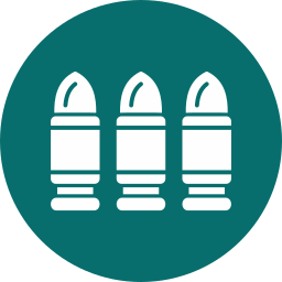 Bullets icon