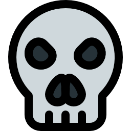 Skull icon