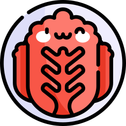 Kimchi icon