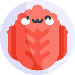 Kimchi icon