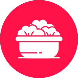 Salad icon