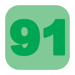 91 Ícone