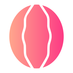 Watermelon icon