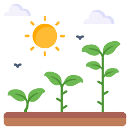 Photosynthesis icon