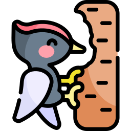 Woodpecker icon