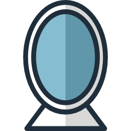 Mirror icon