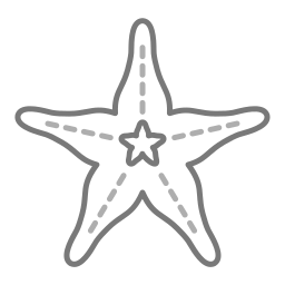 Starfish icon