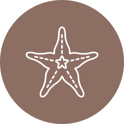 Starfish icon