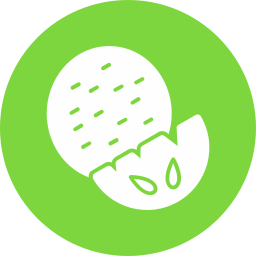 Watermelon icon