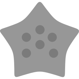 Starfish icon