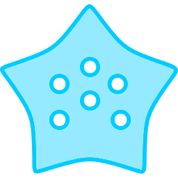 Starfish icon