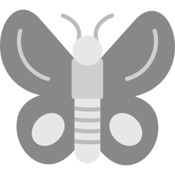 Butterfly icon