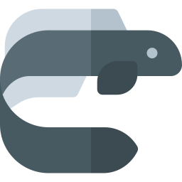 Eel icon