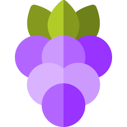 beeren icon