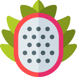 Dragon fruit icon