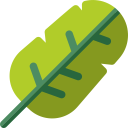 Leaf icon