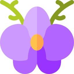 Orchid icon