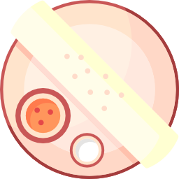 Tortilla icon