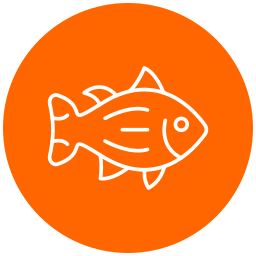 Salmon icon