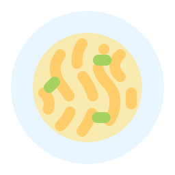 Fettuccine icon