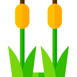 Reed icon