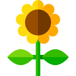 Sunflower icon