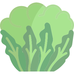 blumenkohl icon