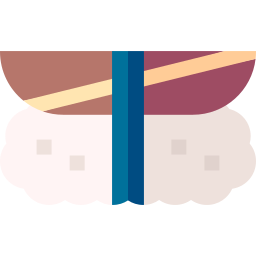 nigiri icon