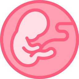 Embryo icon