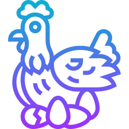 Chicken icon