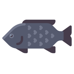 Fish icon