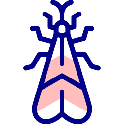 Insect icon