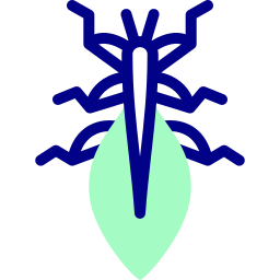 Leaf insect icon