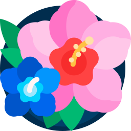 Hibiscus icon