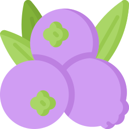 Berries icon