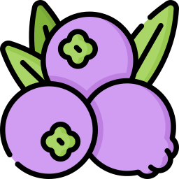 Berries icon