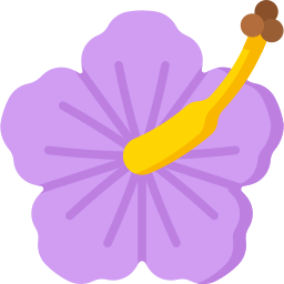 Hibiscus icon