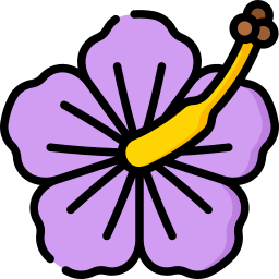 hibiskus icon