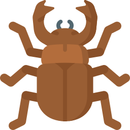 Beetle icon