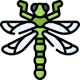 Dragonfly icon