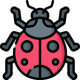 Ladybug icon