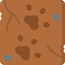 Footprint icon