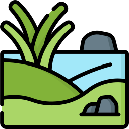 Swamp icon